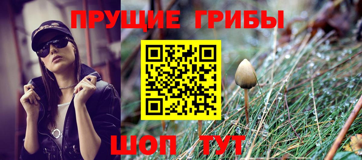 как найти   Галлюциногенные грибы мицелий  Калуга  Вход с VPN  Галлюциногенные грибы прущие грибы 